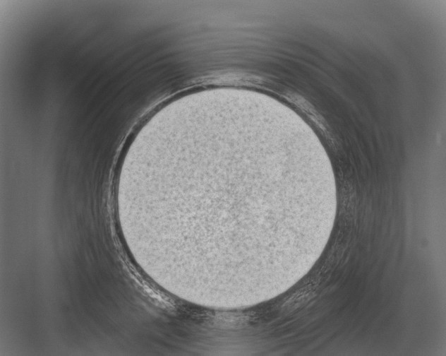 X0000081580848200702121446