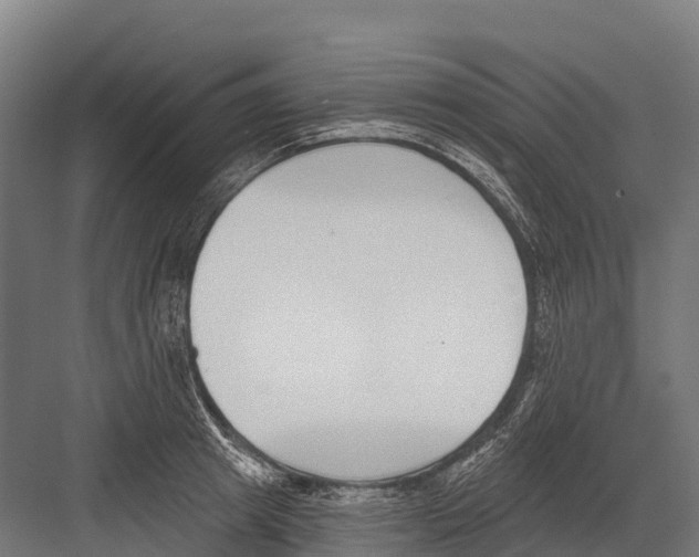 X0000081580849200702121446