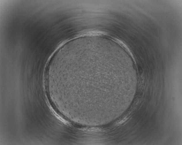 X0000081580851200702121446