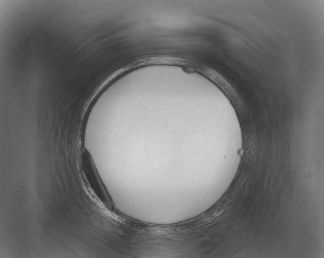 X0000081580852200702121446