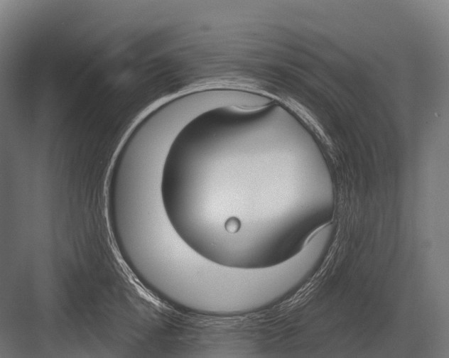 X0000081580854200702121446