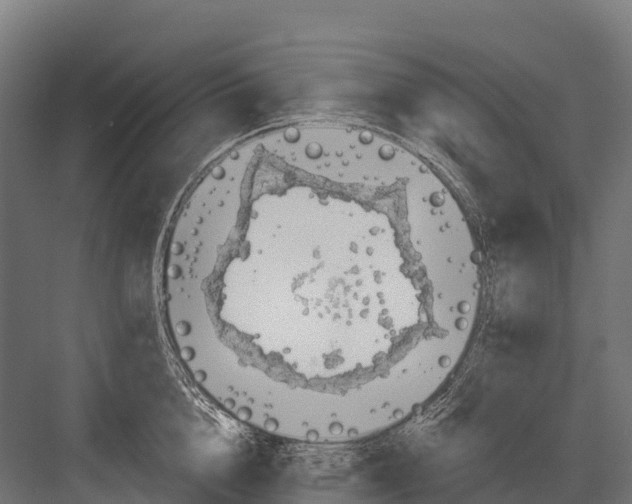 X0000081580856200702121446