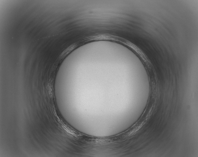 X0000081580857200702121446