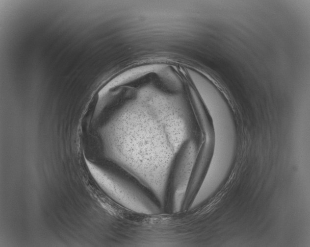 X0000081580858200702121446