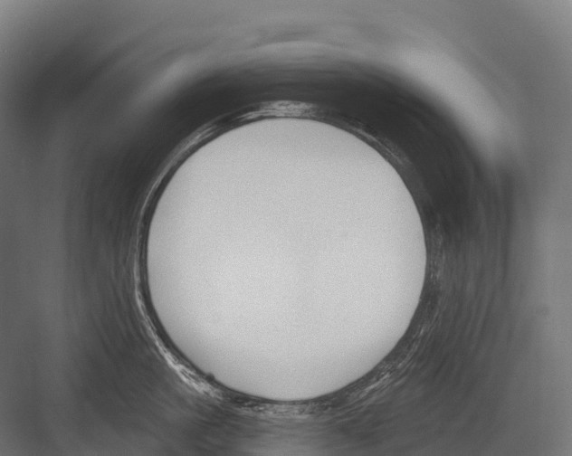 X0000081580861200702121446