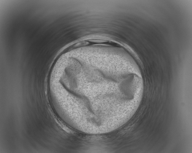 X0000081580862200702121446