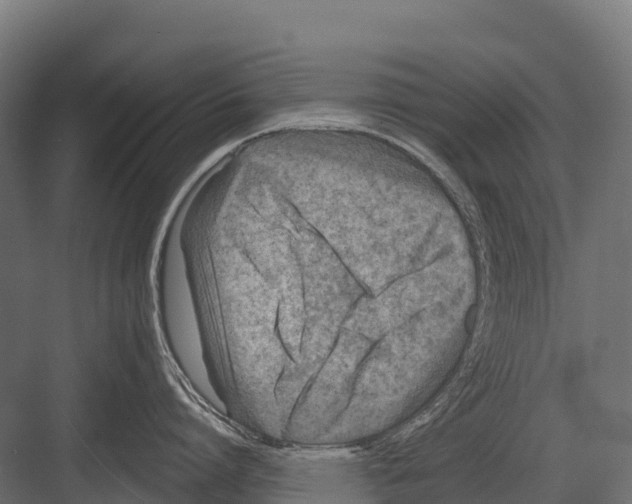 X0000081580864200702121446