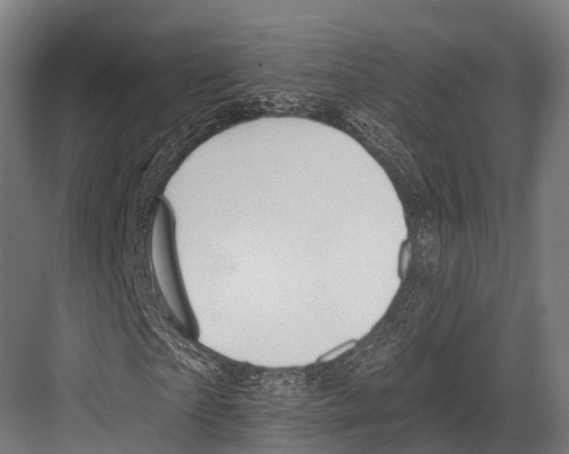 X0000081580865200702121445