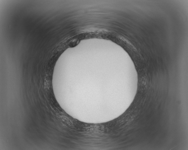 X0000081580869200702121445