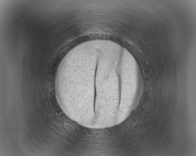 X0000081580870200702121445