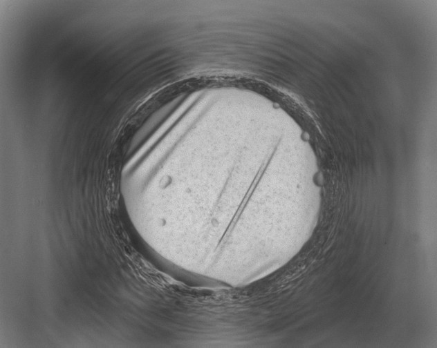 X0000081580871200702121445