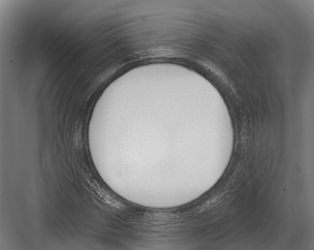 X0000081580873200702121445