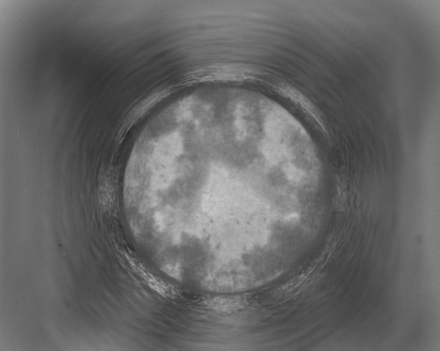 X0000081580874200702121445