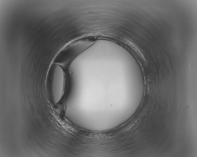 X0000081580876200702121445