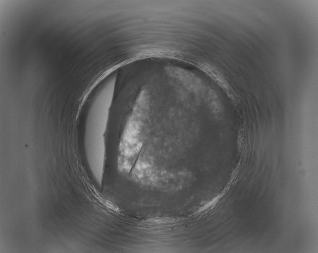 X0000081580877200702121445