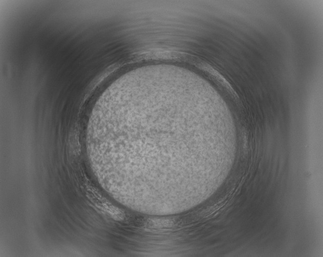 X0000081580878200702121445