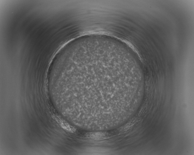 X0000081580879200702121445