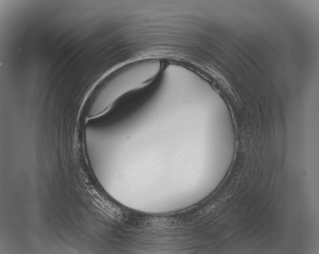 X0000081580880200702121445