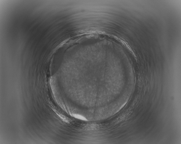 X0000081580881200702121445