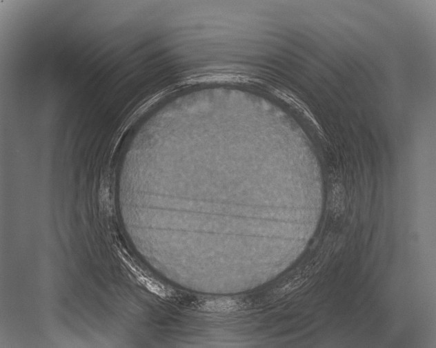 X0000081580882200702121445