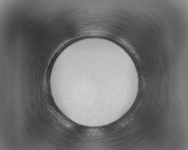 X0000081580883200702121445