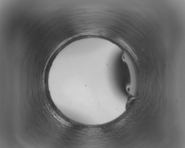 X0000081580884200702121445