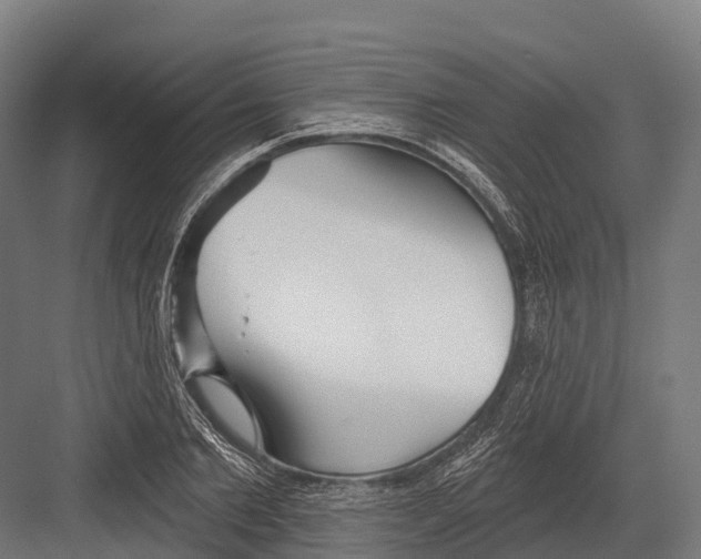 X0000081580885200702121445