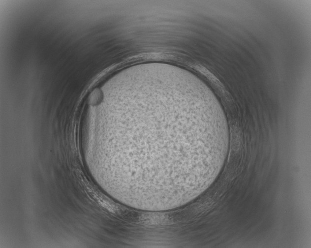 X0000081580886200702121445