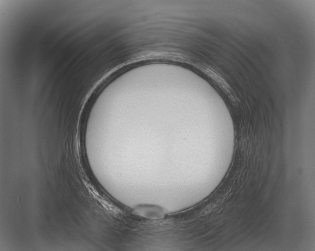 X0000081580888200702121445