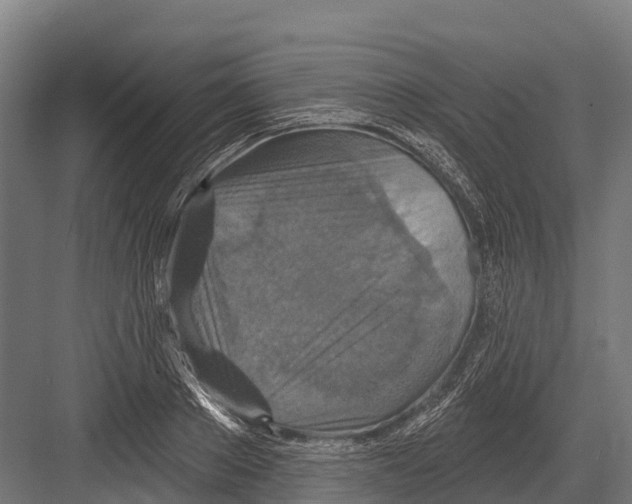 X0000081580889200702121445