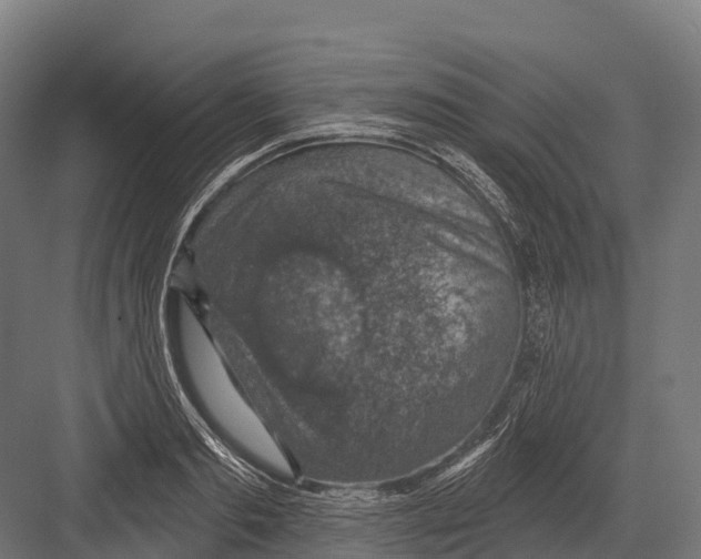 X0000081580893200702121444