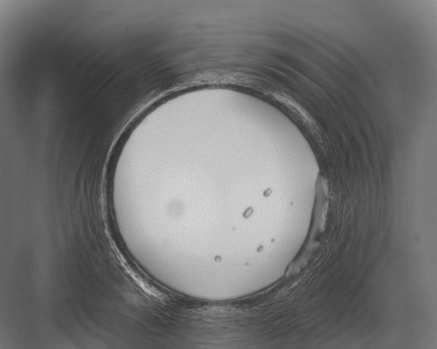 X0000081580894200702121444