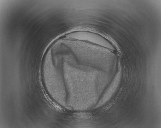 X0000081580896200702121444