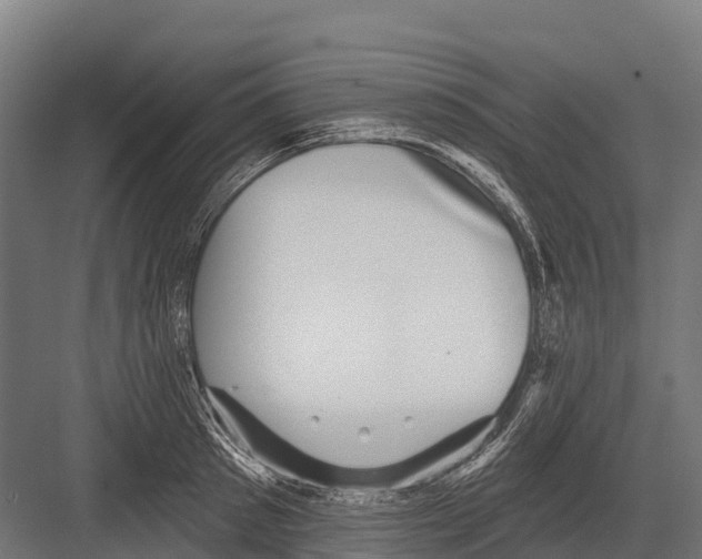 X0000081580897200702121444