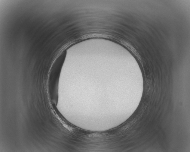 X0000081580898200702121444