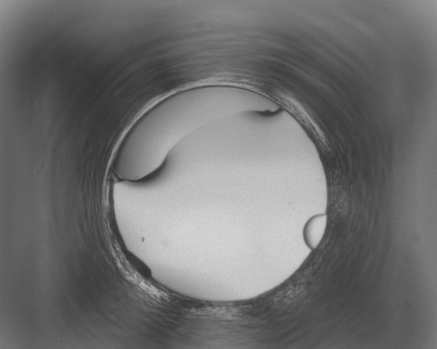 X0000081580900200702121444