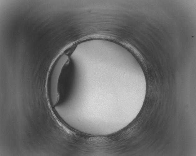 X0000081580902200702121444