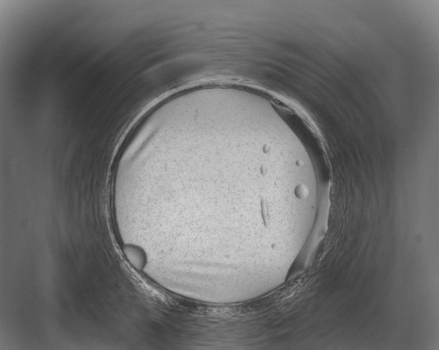 X0000081580903200702121444