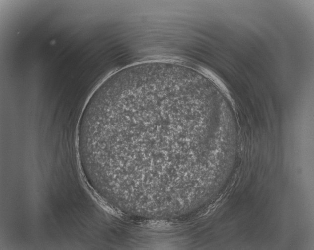 X0000081580907200702121444