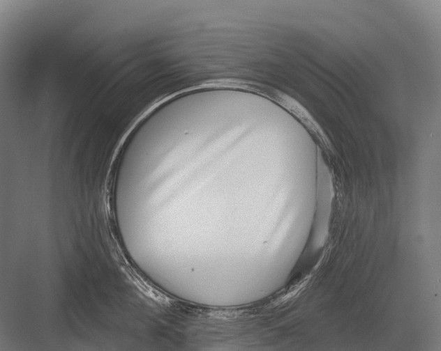 X0000081580908200702121444