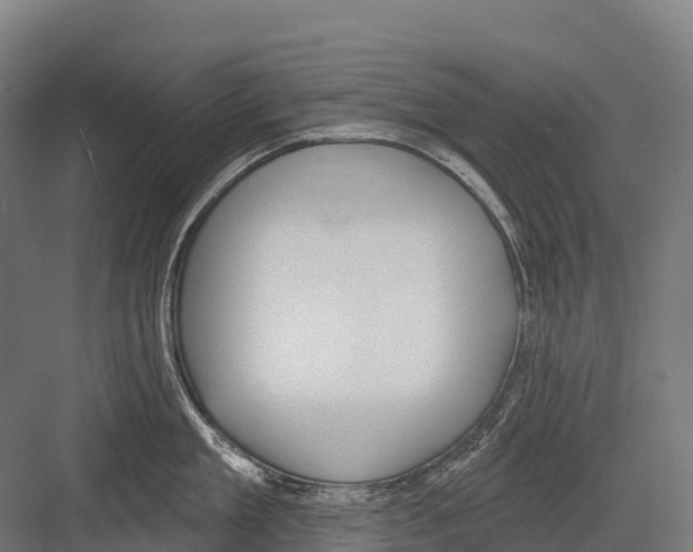 X0000081580909200702121444