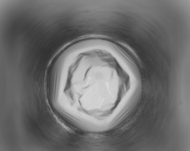 X0000081580910200702121444