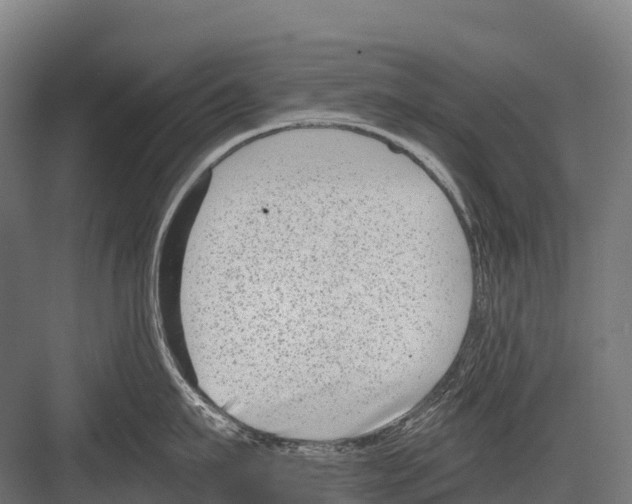 X0000081580911200702121444