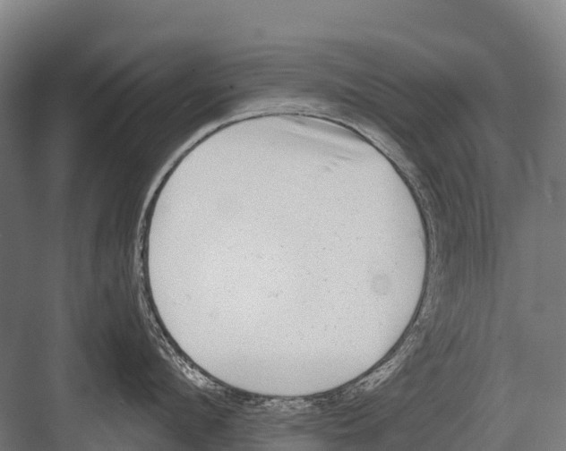 X0000081580912200702121444