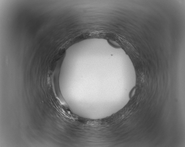 X0000081580914200702121443