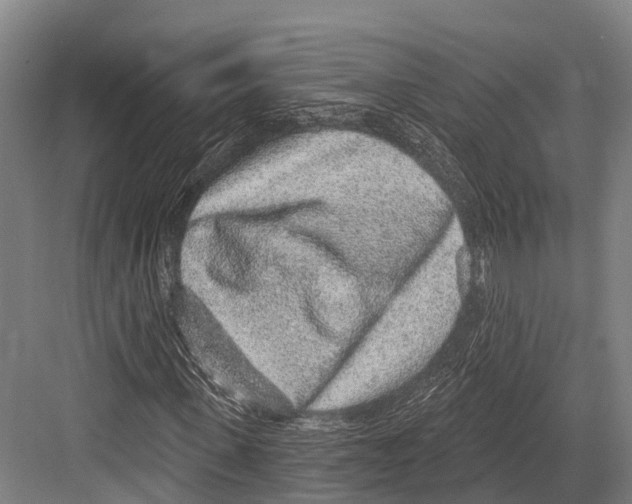 X0000081580915200702121443