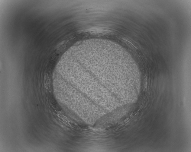 X0000081580917200702121443