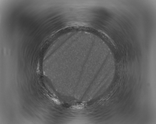 X0000081580919200702121443