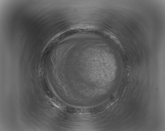 X0000081580920200702121443