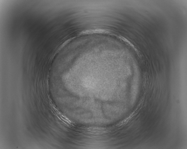 X0000081580921200702121444